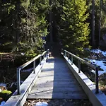 シャレー Forest With Private Bridge & Mountain View