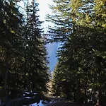 Forest With Private Bridge & Mountain View Chalet