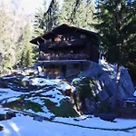 Forest With Private Bridge & Mountain View Chalet