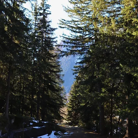 Forest With Private Bridge & Mountain View Chalé