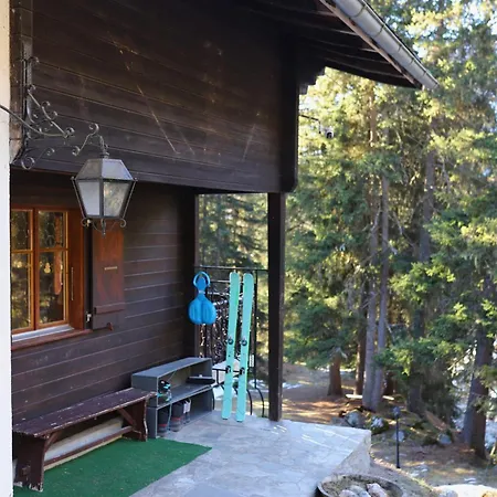 Forest With Private Bridge & Mountain View Alpehytte Naters