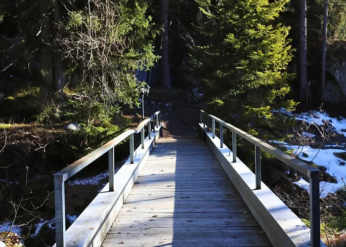 Domek alpejski Forest With Private Bridge & Mountain View