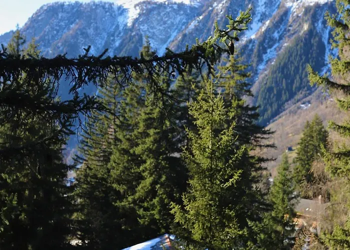 Domek alpejski Forest With Private Bridge & Mountain View