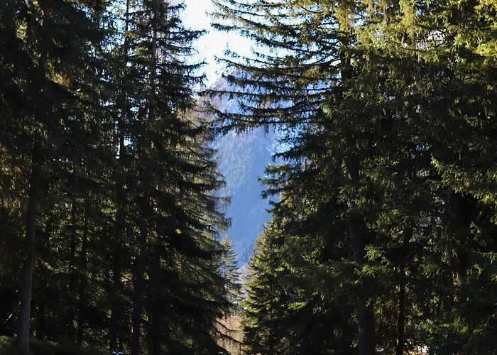 Forest With Private Bridge & Mountain View Domek alpejski